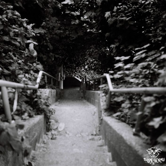 35mm - 120mm film - photography - black and white - stairway - beach - vancovuer