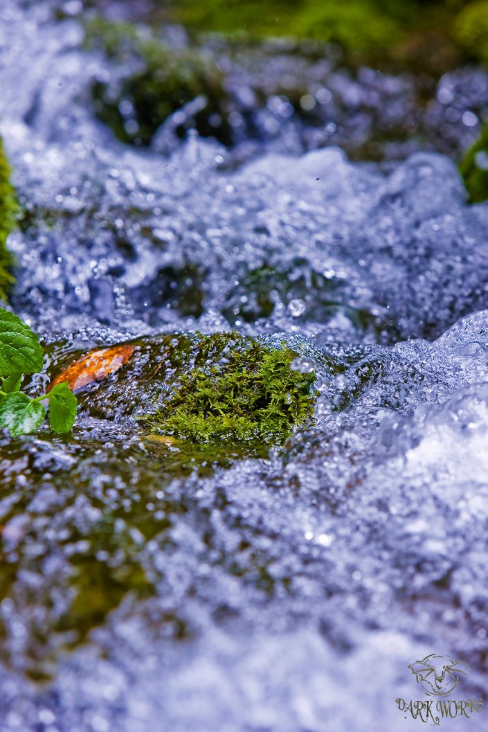 Water fall Minter Gardens Photograph