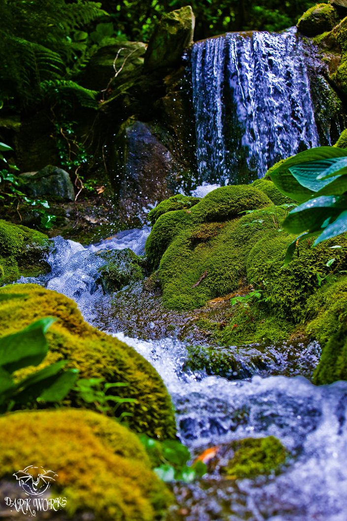Waterfall Minters Photograph
